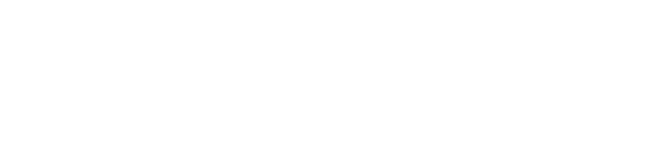 Stellar Notch logo